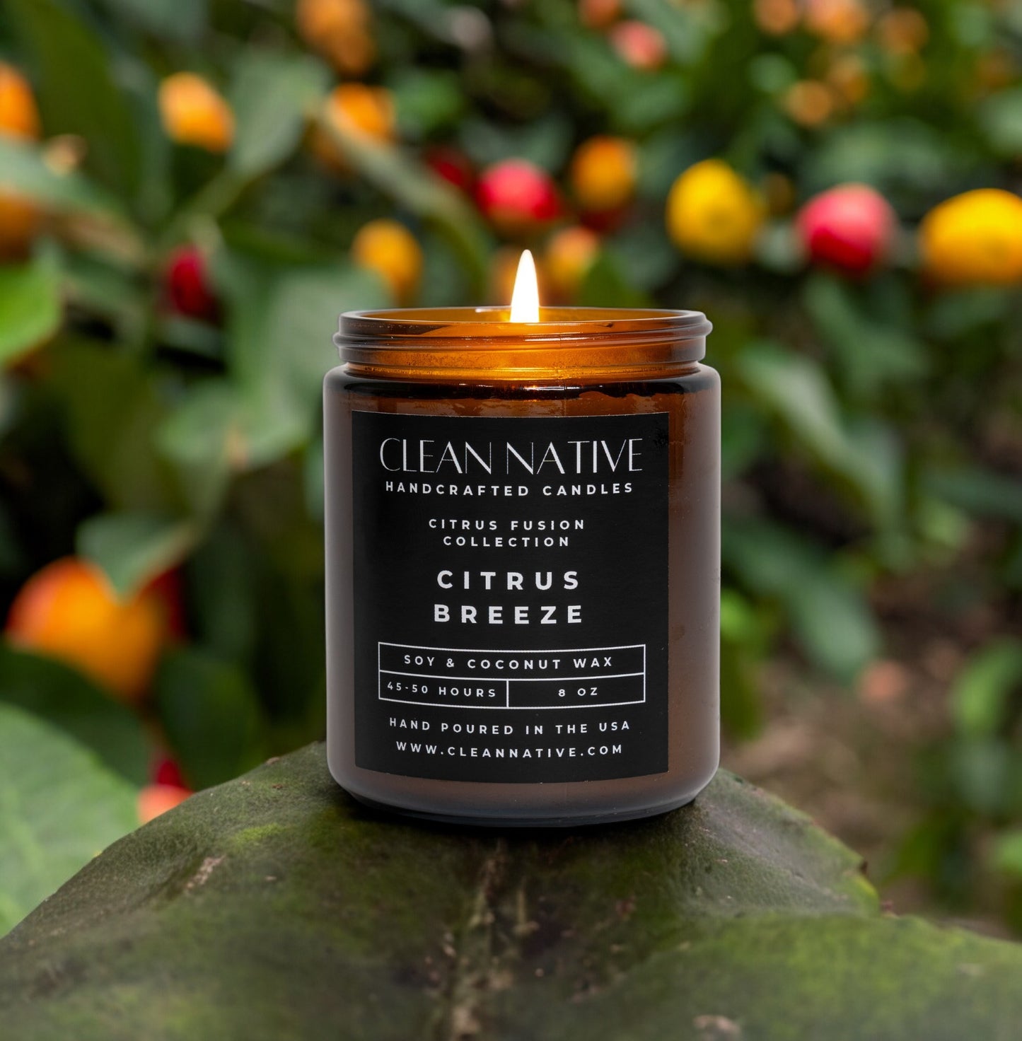 Citrus Breeze: Soy & Coconut Wax Candle